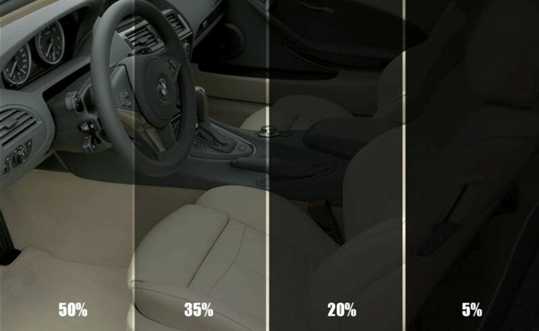 Window-Tint-Shades